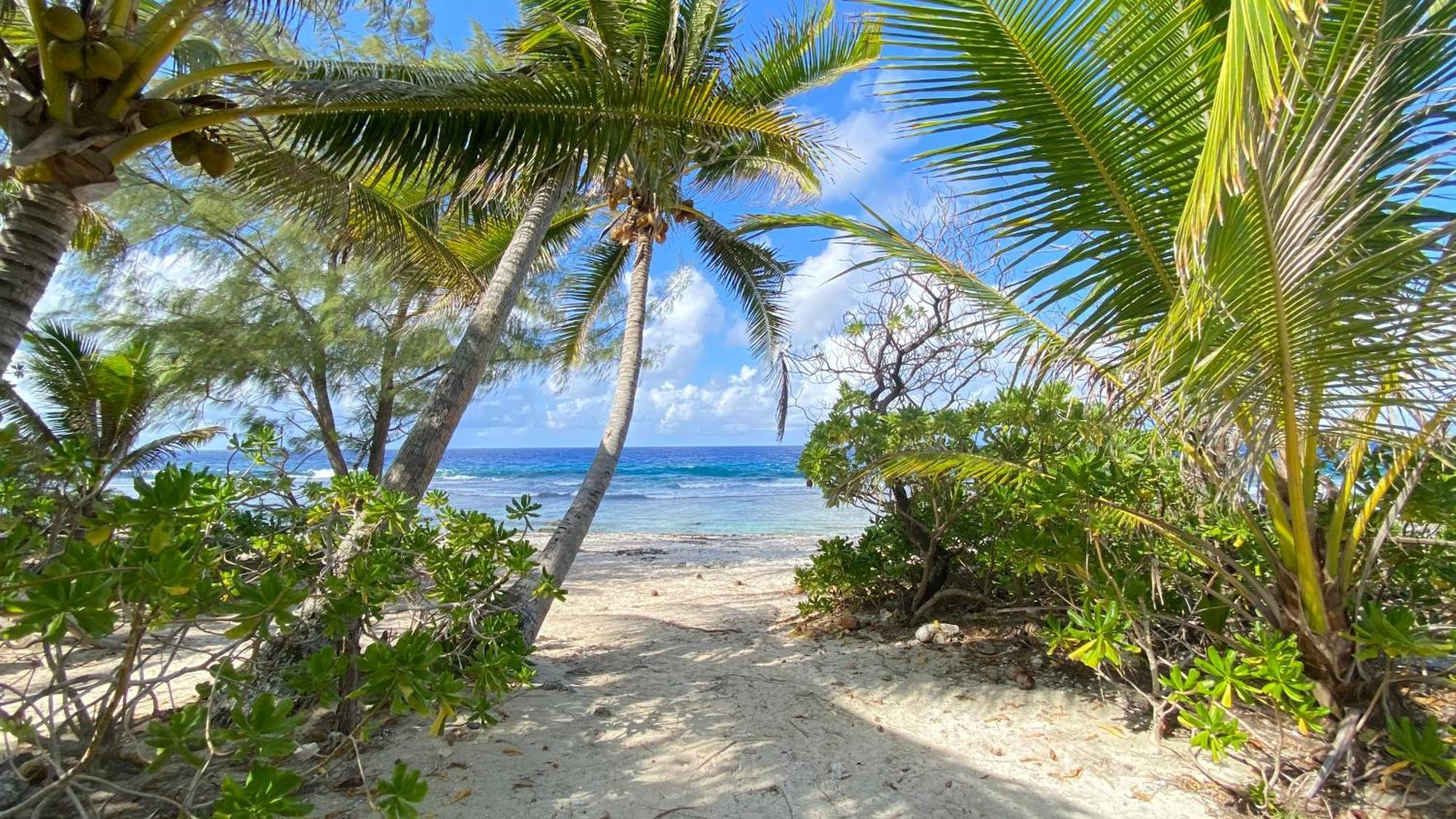 Moorea Chill And Beach Lodge Teavaro Exterior foto